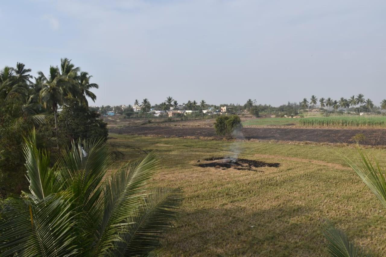 Coconut Homestay ฮัมปี ภายนอก รูปภาพ